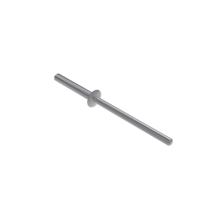 Rivet