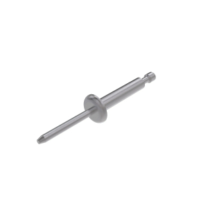 Rivet
