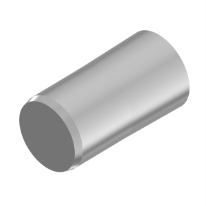 Pin Fastener