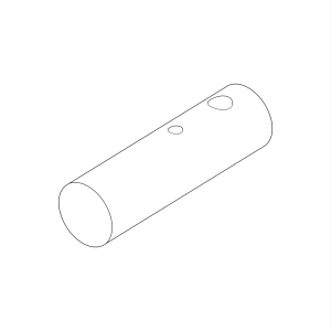 Pin