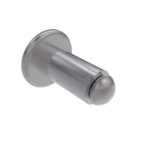 Rivet