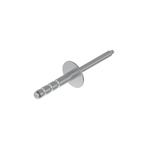 Image of R566419
