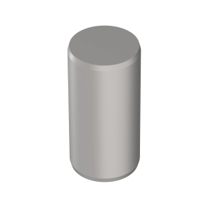 Pin Fastener