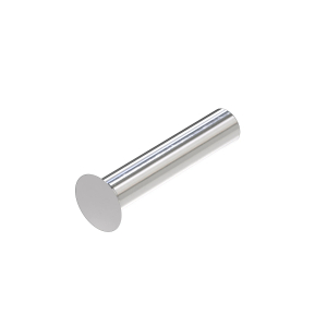 Rivet