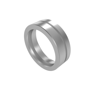 N205639: Suspension Seals Collar Retainer