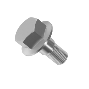 Cap Screw