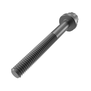 Screw