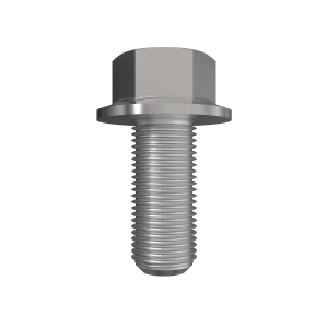 Screw