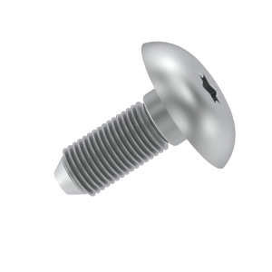 Screw