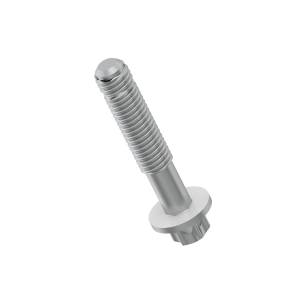 Screw