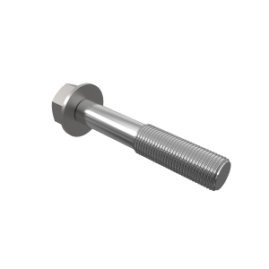 Screw