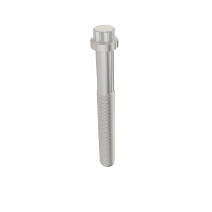 Cap Screw