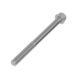 Screw