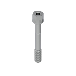 Screw