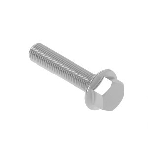 Screw