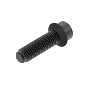 Screw With Washer
