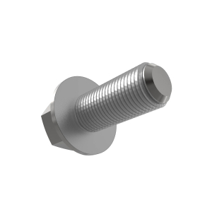 Cap Screw
