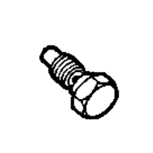 Hollow Screw