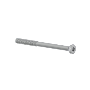 Screw