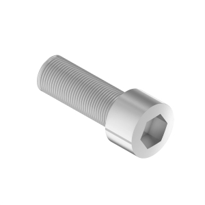 0259304: Screw