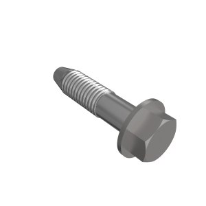Screw