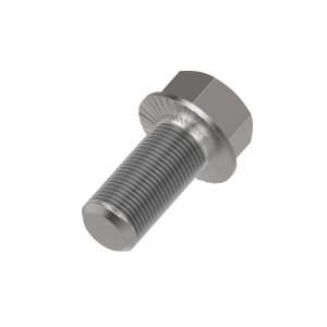 Cap Screw