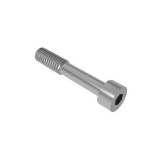 Screw