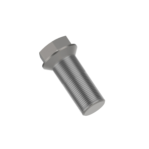 Screw