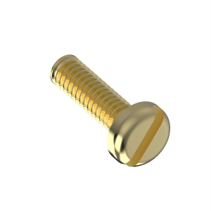 Screw