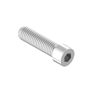 Screw