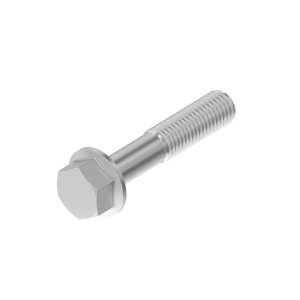 Screw