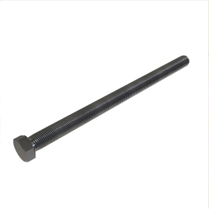 Cap Screw