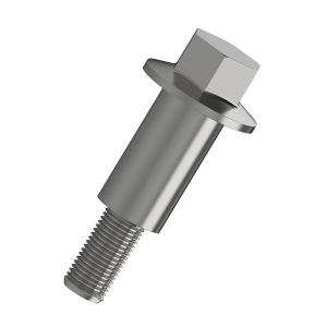Screw