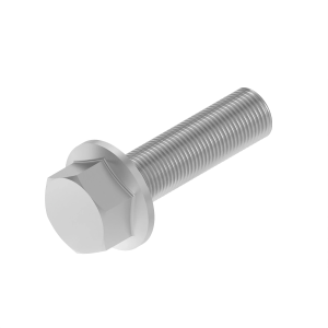Screw
