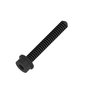 Screw