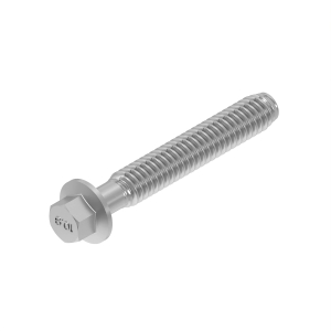 Screw