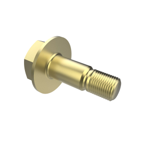 Bolt