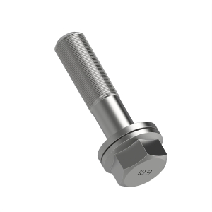 Screw With Washer
