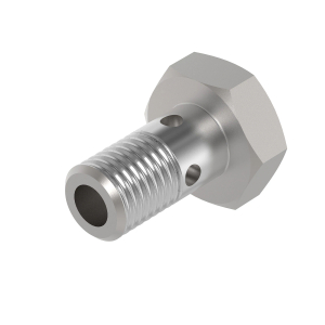 Hollow Screw