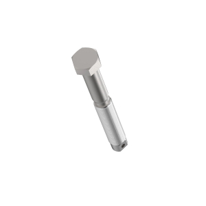 Cap Screw