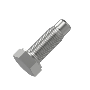 Cap Screw