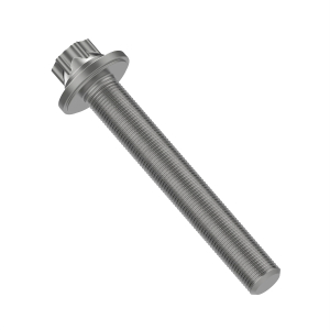 Screw