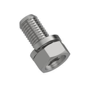 Screw With Washer
