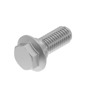 Cap Screw