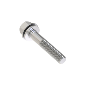 Screw With Washer