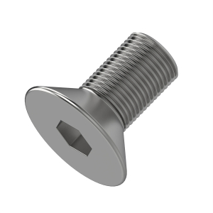 Screw