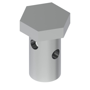 Hollow Screw