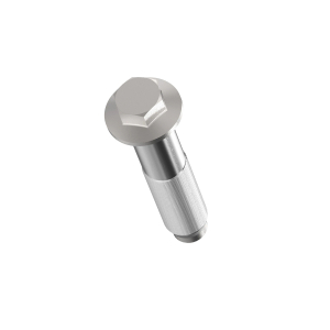 Cap Screw