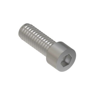 Screw