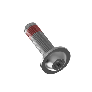 Screw